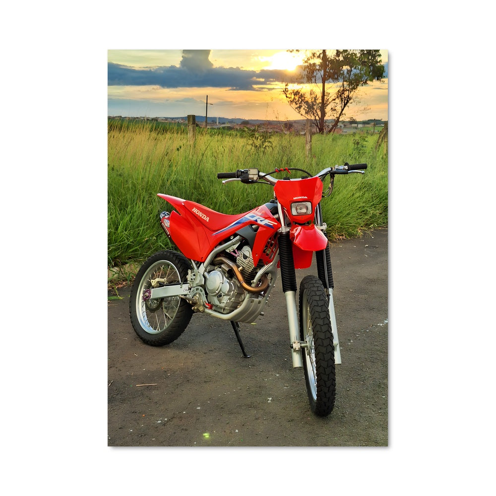 Poster Crf450r 82314