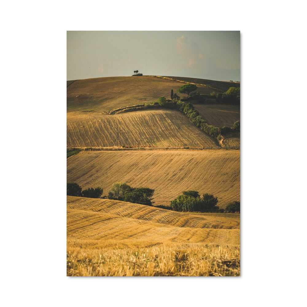 Poster Champ de Solitude