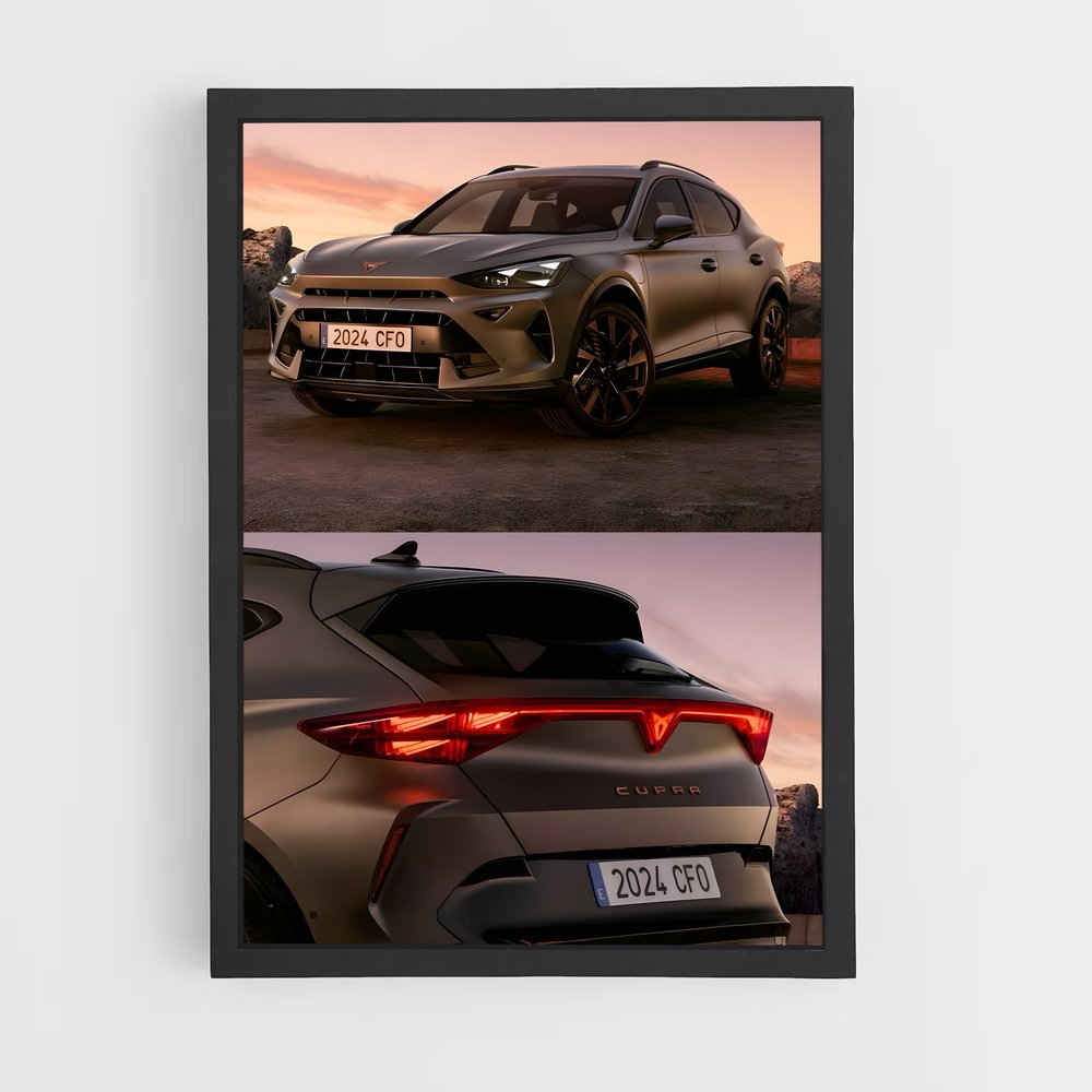 ap-cupra-6 cadre Noir
