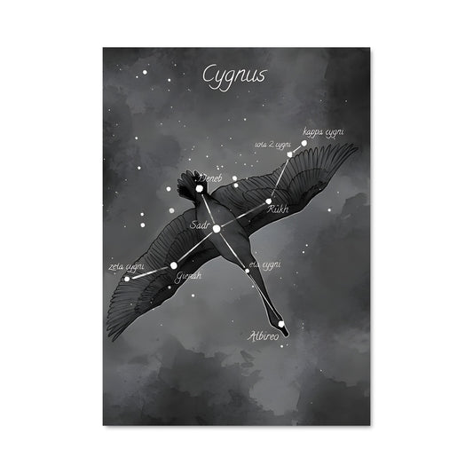 Poster Cygnus 97261