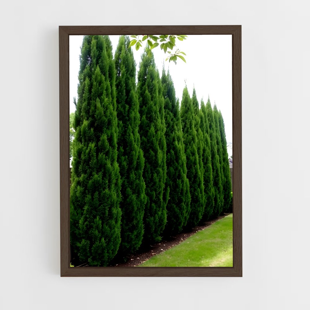 ap-cypress-1 cadre Bois foncé