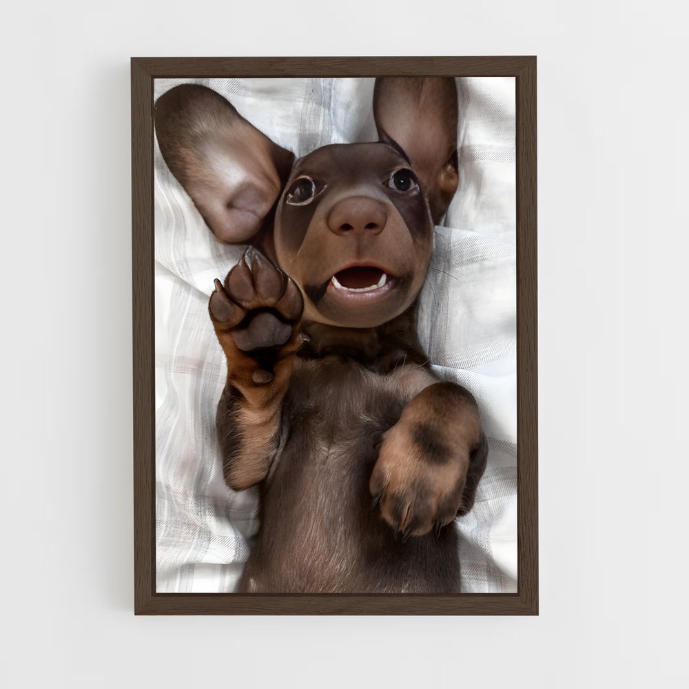 ap-dachshund-2 cadre Bois foncé