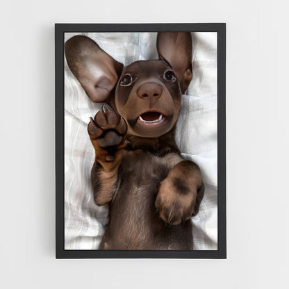 ap-dachshund-2 cadre Noir