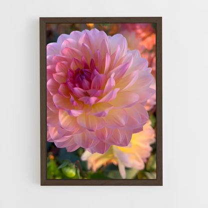 ap-dahlia-7 cadre Bois foncé