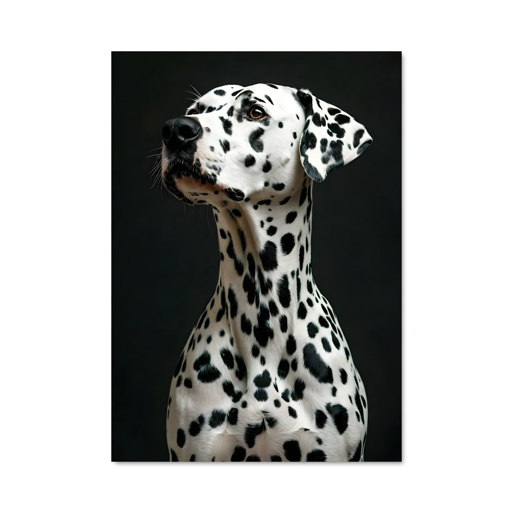 Poster Dalmatian Dreams