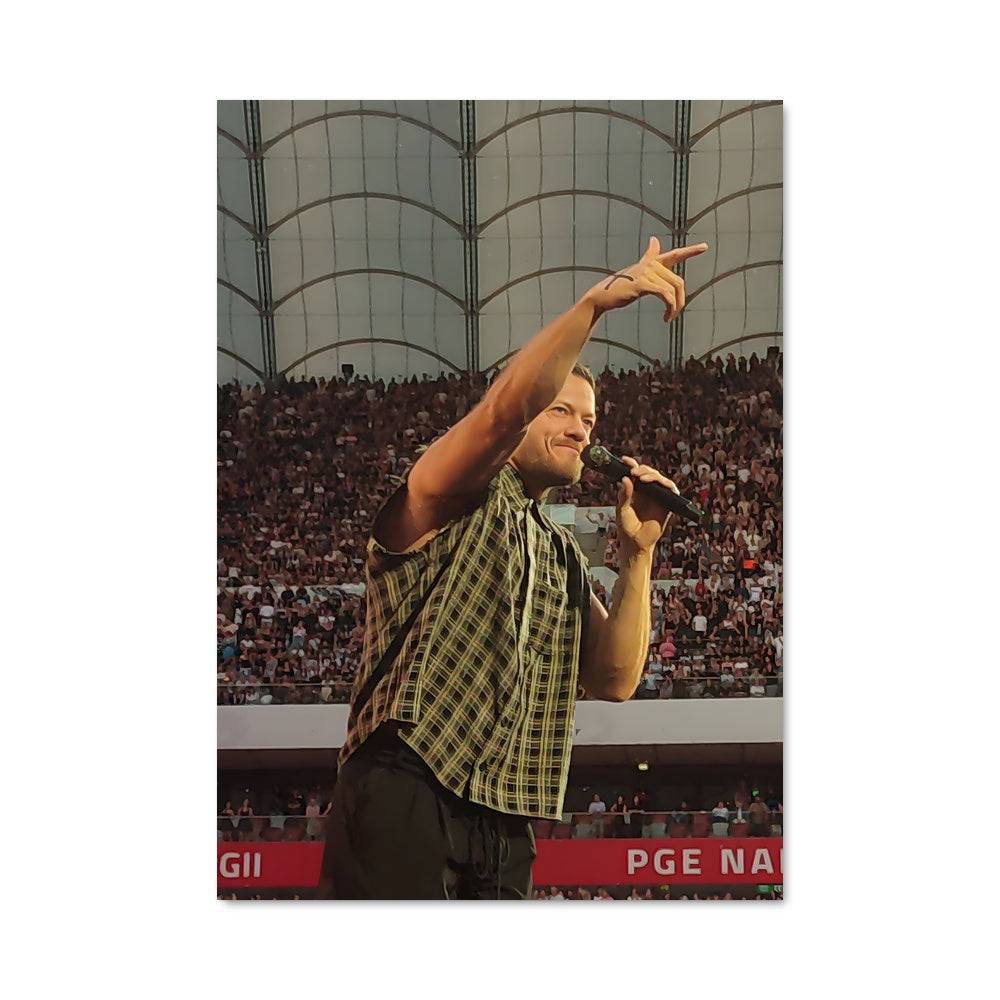 Poster Dan le Vert