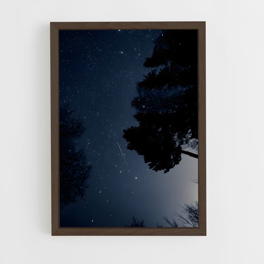 ap-dark sky-12 cadre Bois foncé