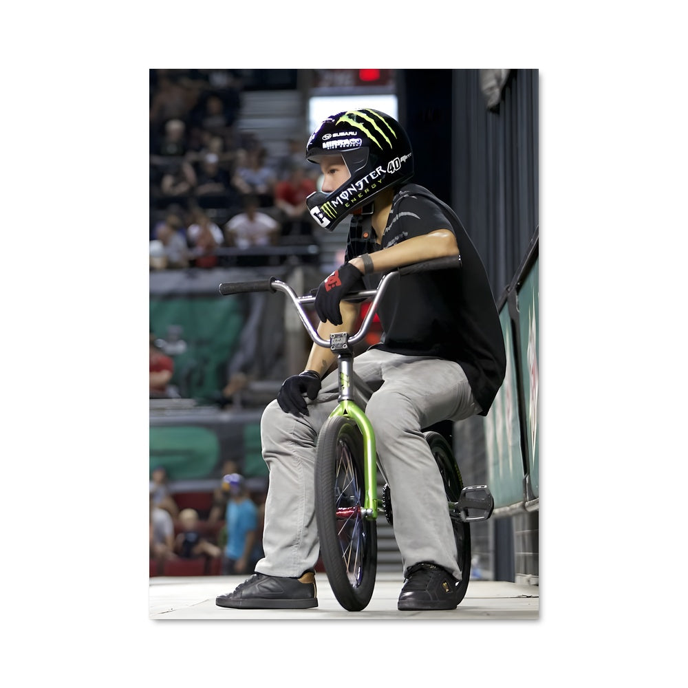 Poster BMX Thrills