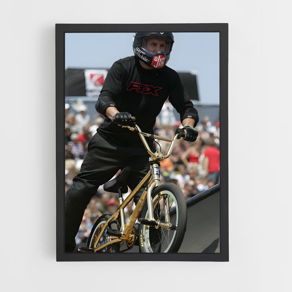 ap-dave mirra-1 cadre Noir