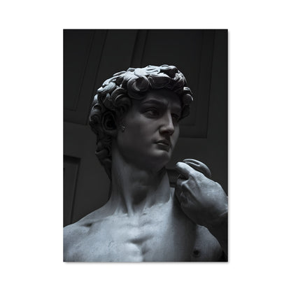 Poster L'Homme Fleur