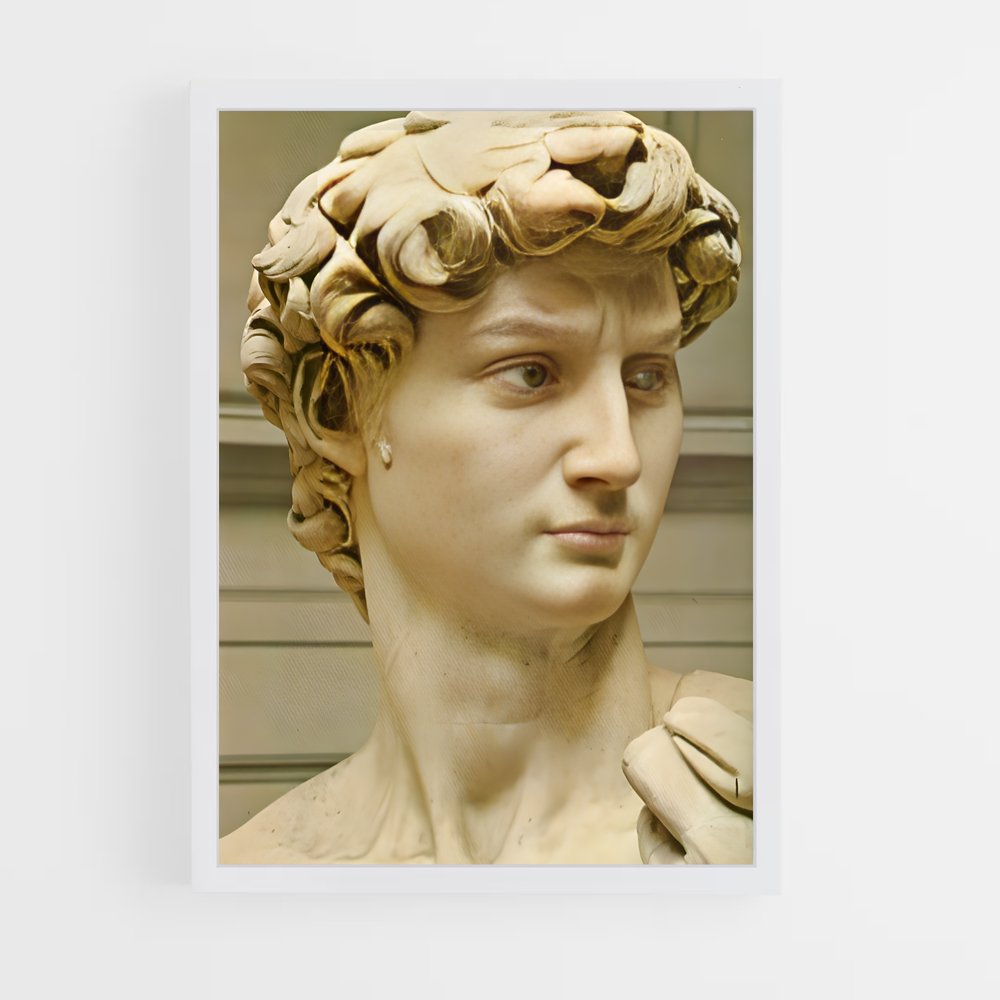 ap-david michelangelo-10 cadre Blanc