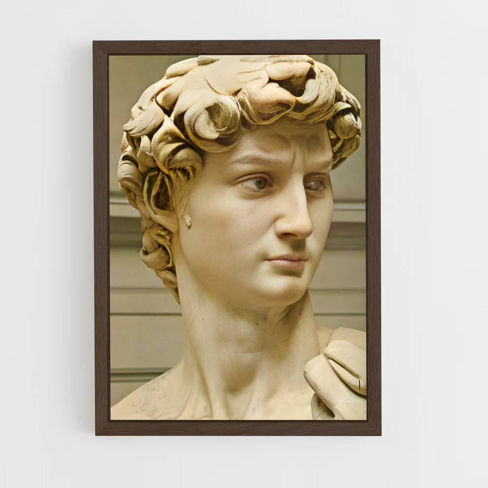 ap-david michelangelo-10 cadre Bois foncé