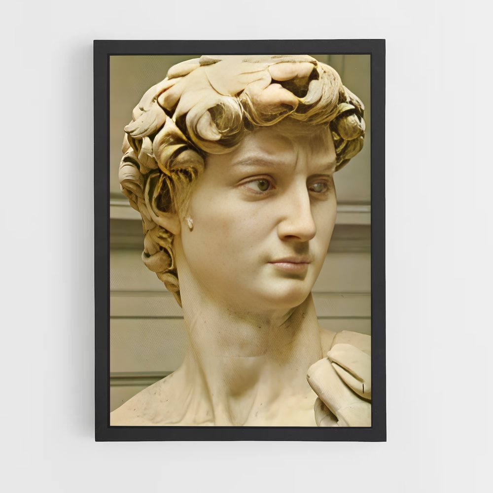 ap-david michelangelo-10 cadre Noir