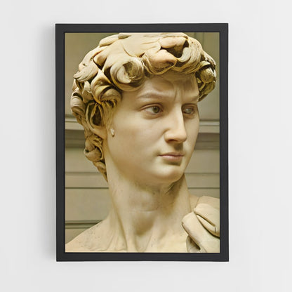 ap-david michelangelo-10 cadre Noir