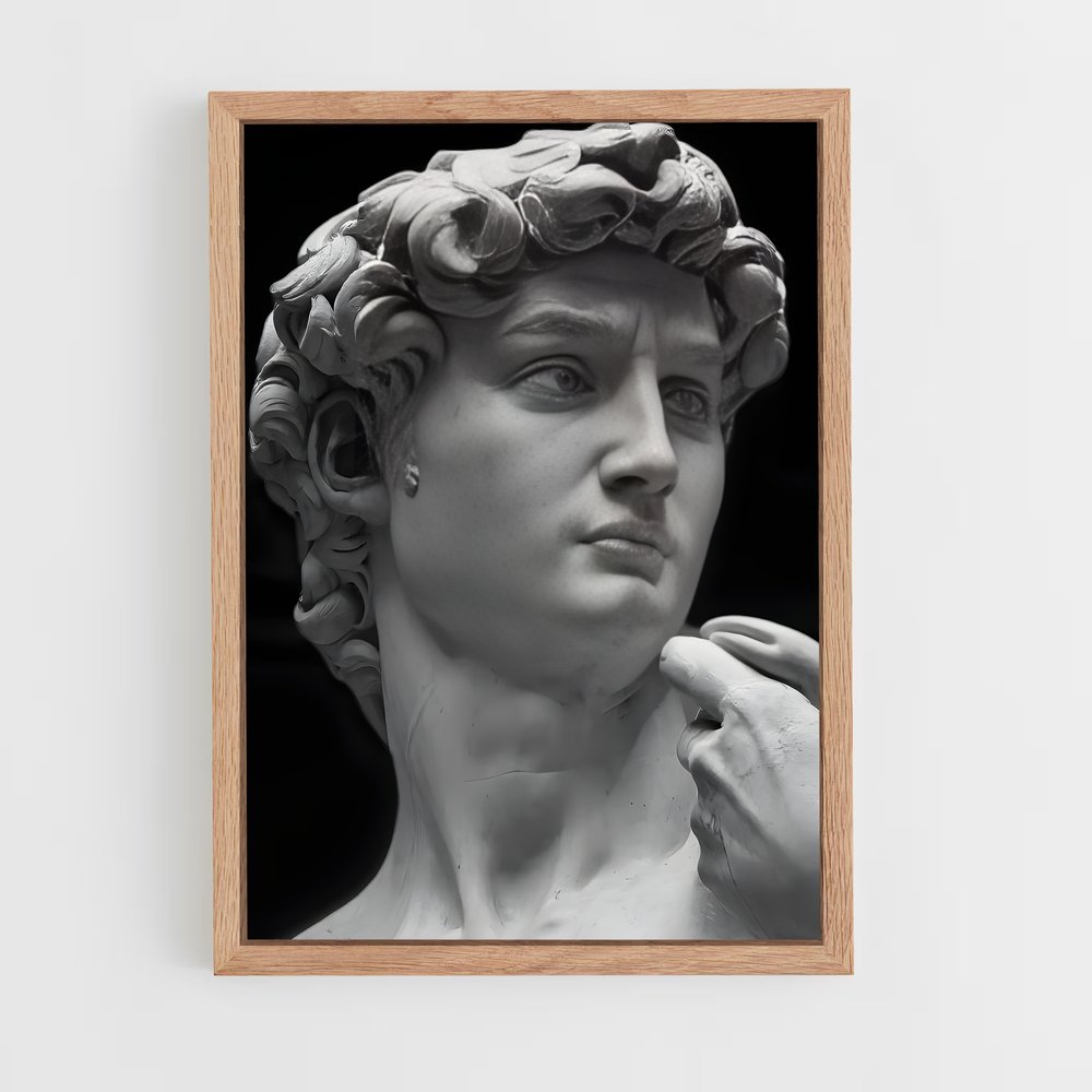 ap-david michelangelo-3 cadre Bois clair