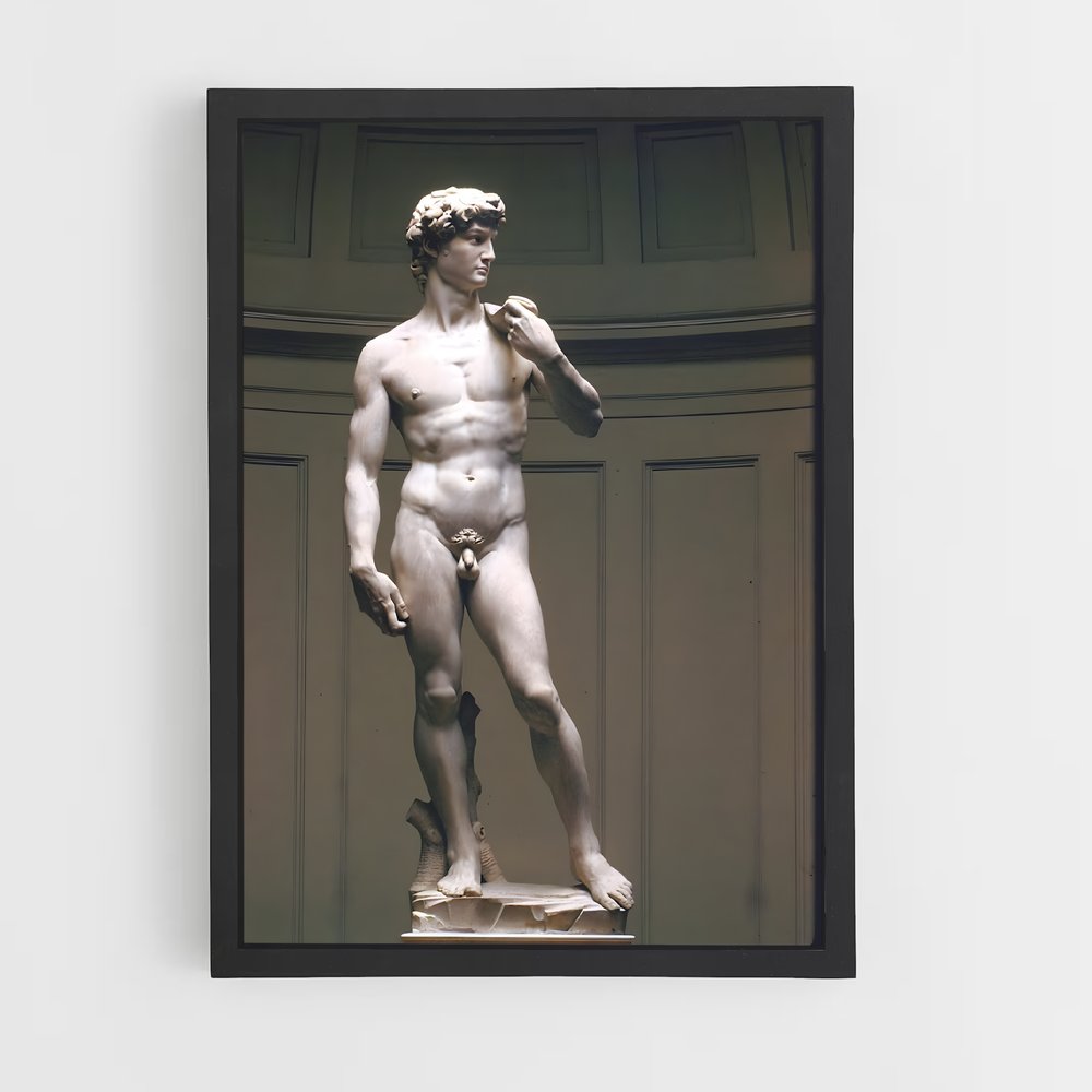 ap-david michelangelo-4 cadre Noir