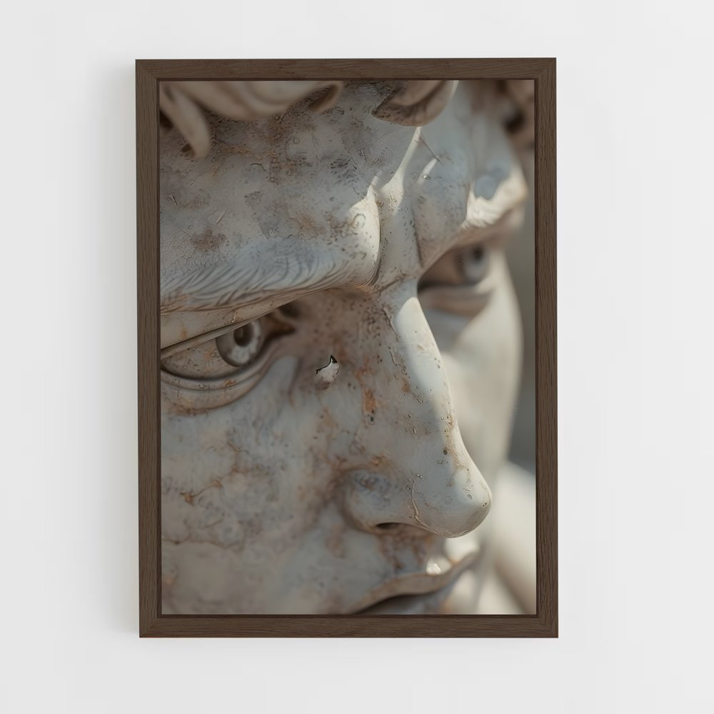 ap-david michelangelo-8 cadre Bois foncé
