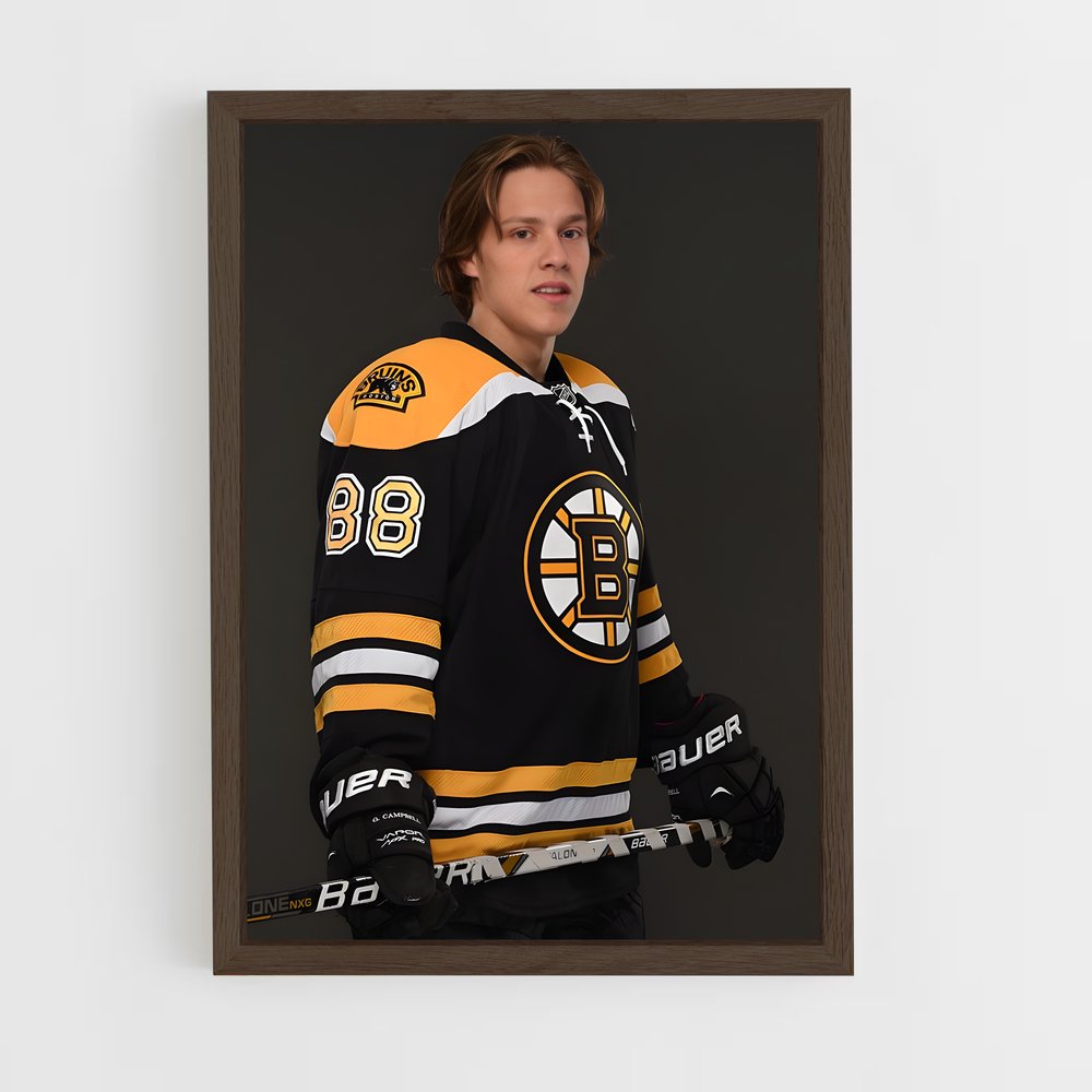 ap-david pastrnak-6 cadre Bois foncé