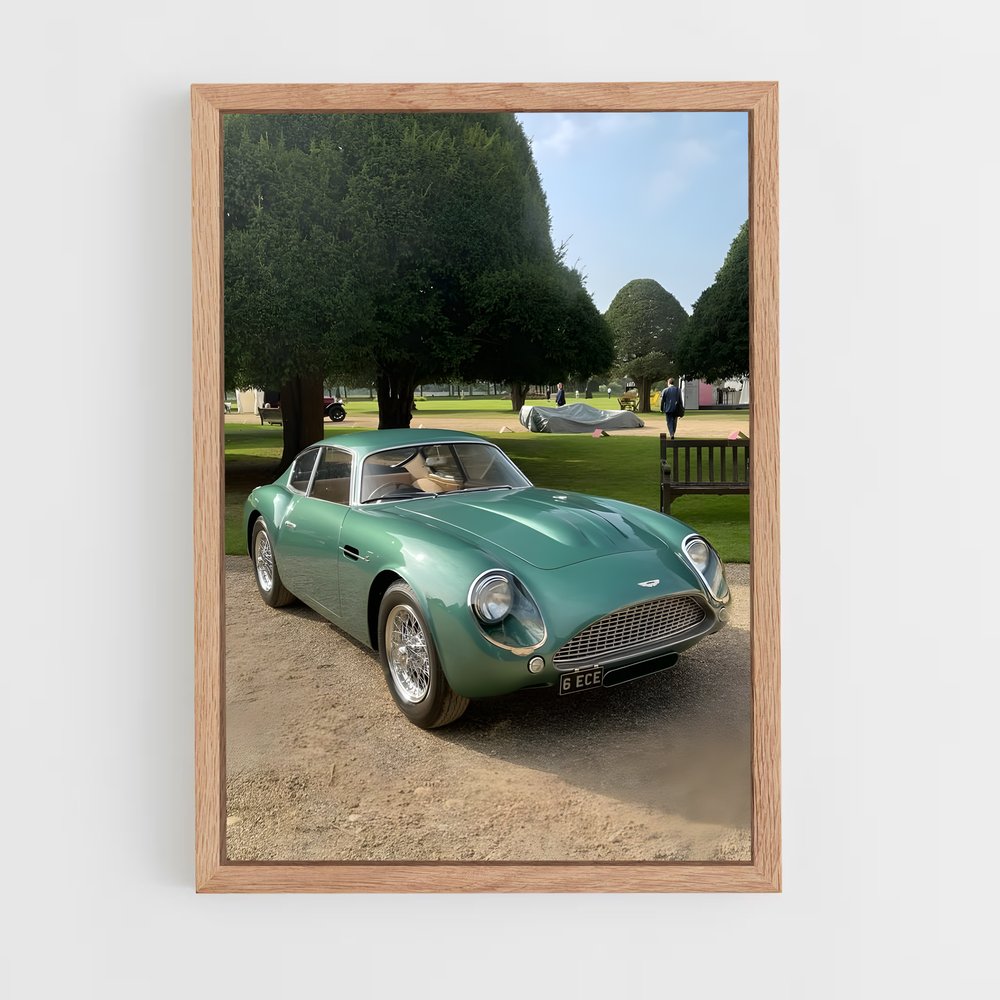 ap-db4 gt zagato-1 cadre Bois clair