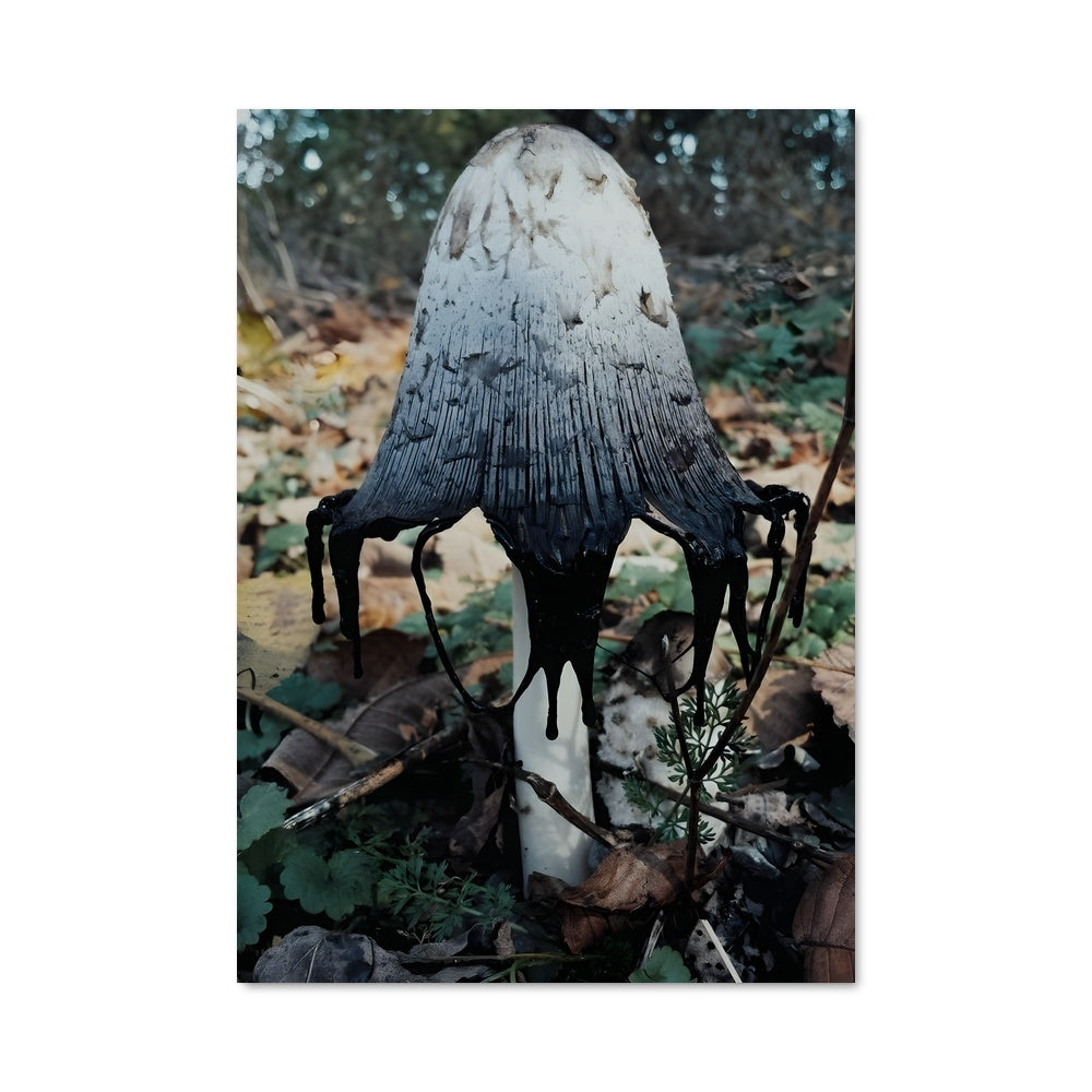 Poster Death cap 94207