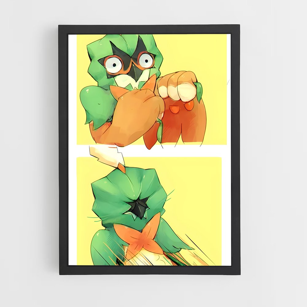 ap-decidueye-3 cadre Noir