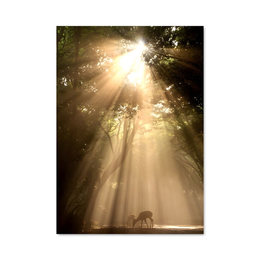 Poster Sérénité Sylvestre