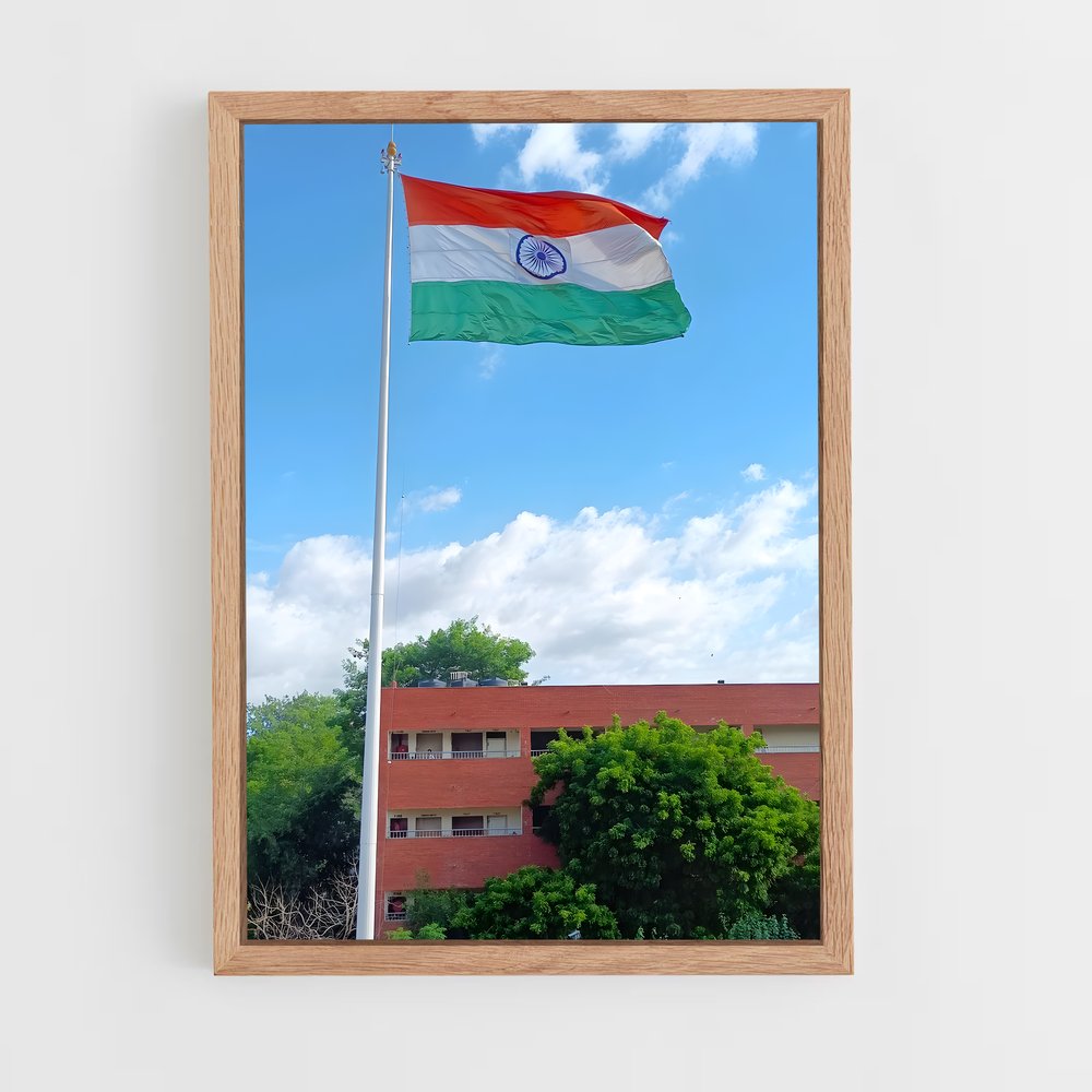 ap-delhi flag-2 cadre Bois clair