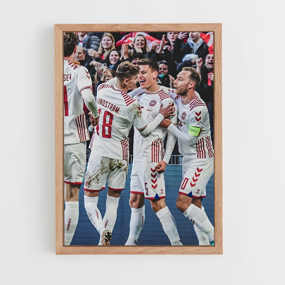 ap-denmark national football team-1 cadre Bois clair