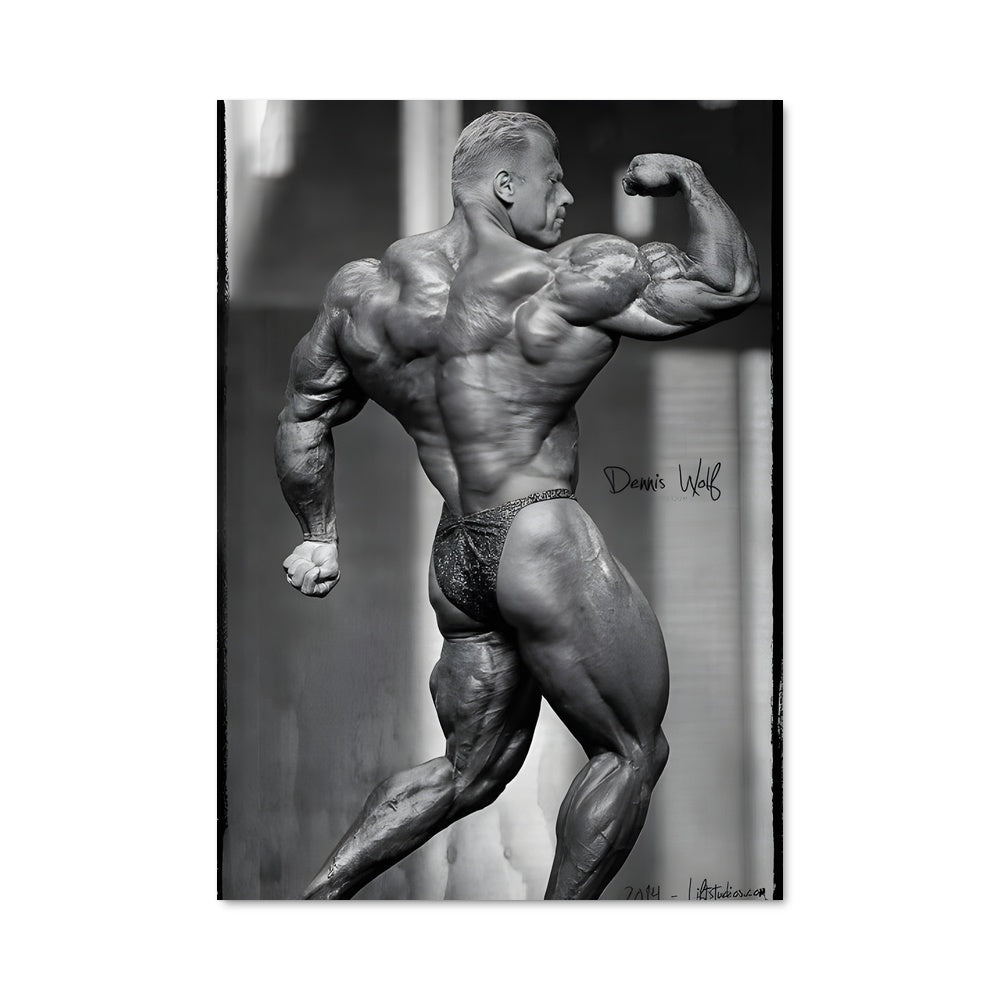 Poster Dennis wolf 64813