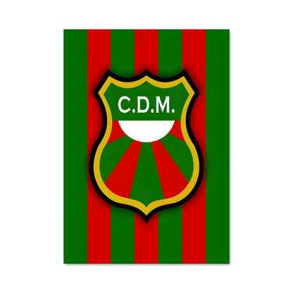 Poster Maldonado United
