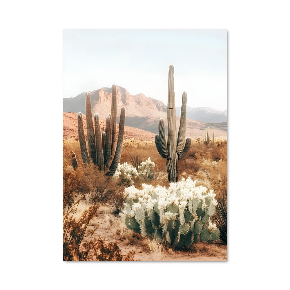 Poster Désert Mystique