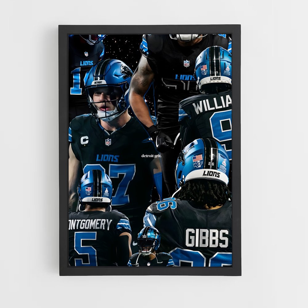 ap-detroit lions-5 cadre Noir