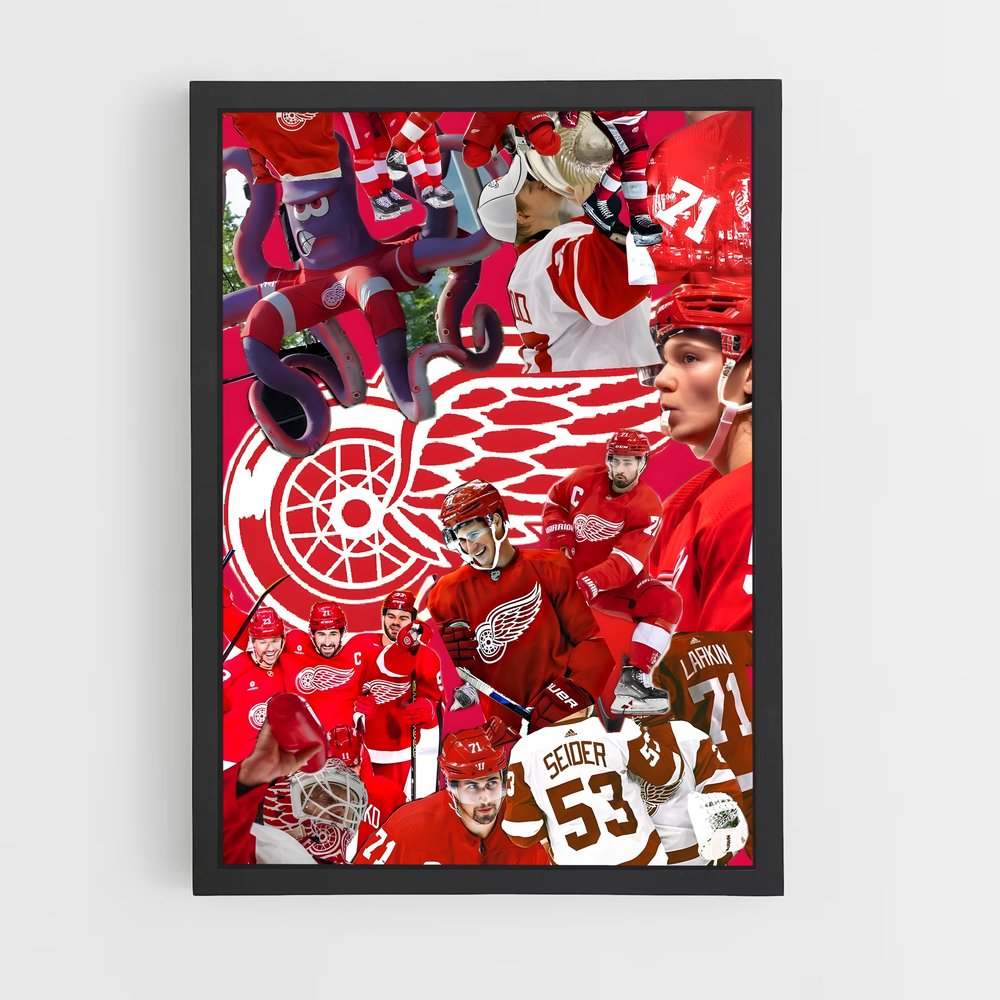 ap-detroit red wings-3 cadre Noir