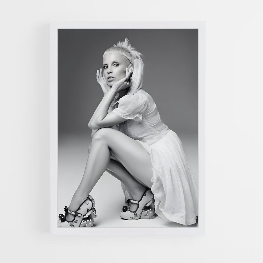 ap-die antwoord-2 cadre Blanc