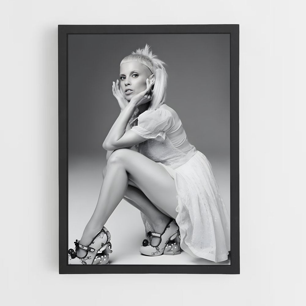 ap-die antwoord-2 cadre Noir