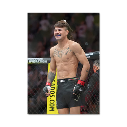 Poster Conor le Roi