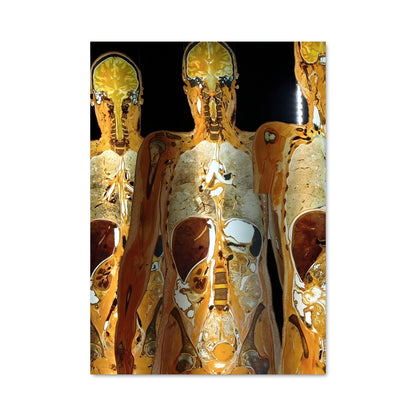 Poster Anatomie Débridée