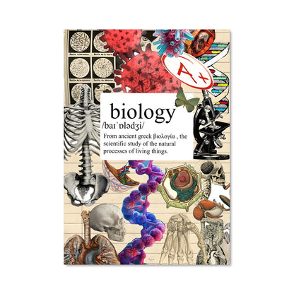 Poster Anatomie Mystique