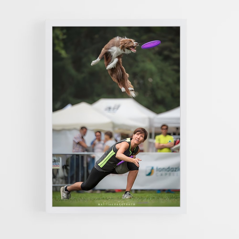 ap-disc dog world championships-5 cadre Blanc