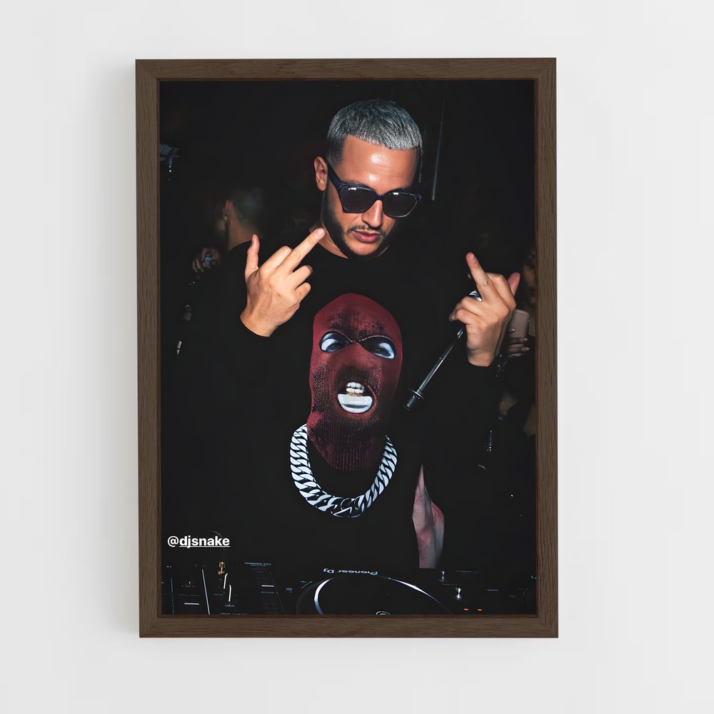 ap-dj snake-5 cadre Bois foncé