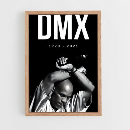 ap-dmx-1 cadre Bois clair