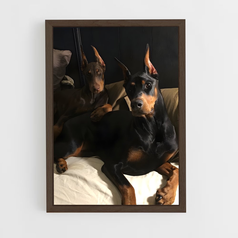 ap-doberman pinscher-1 cadre Bois foncé