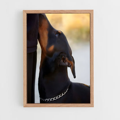 ap-doberman pinscher-4 cadre Bois clair