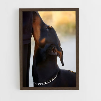 ap-doberman pinscher-4 cadre Bois foncé
