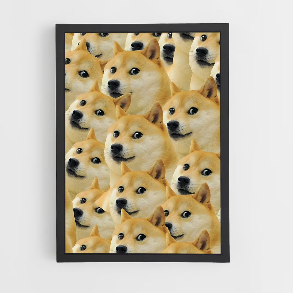 ap-doge-1 cadre Noir