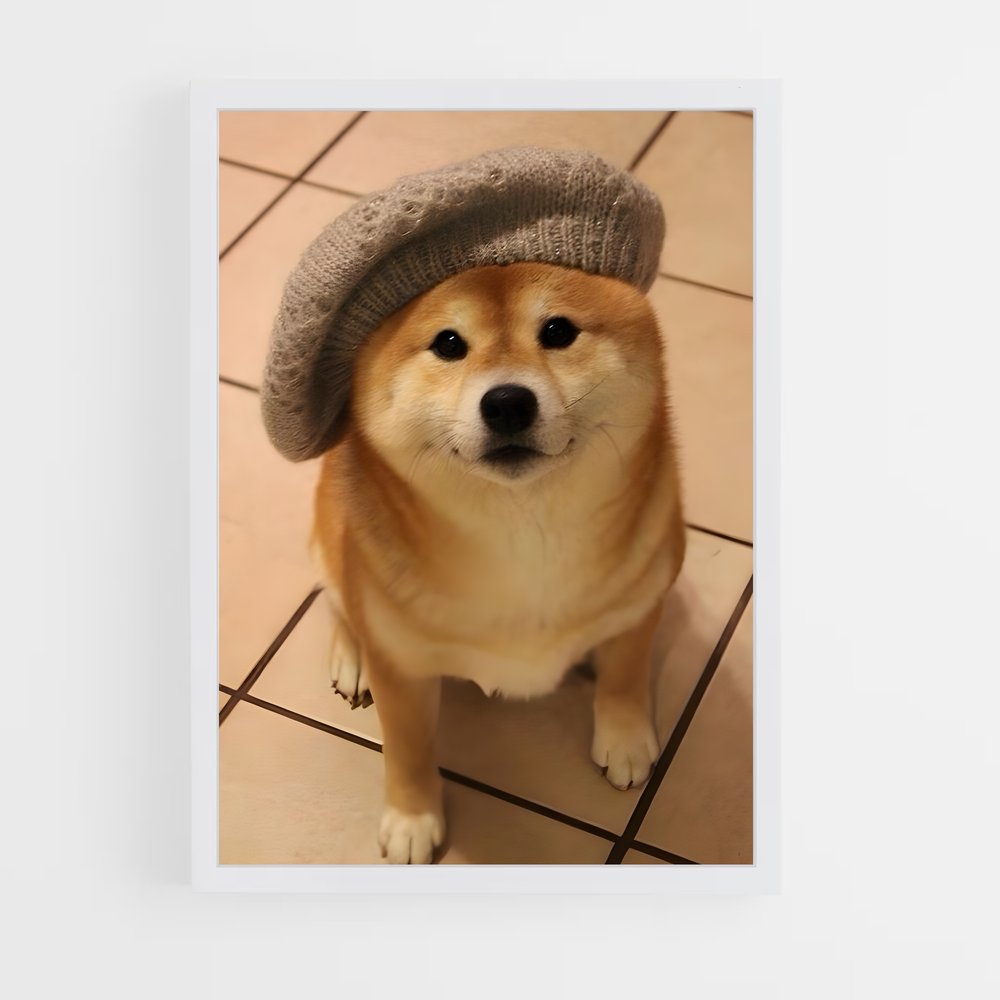 ap-doge-8 cadre Blanc