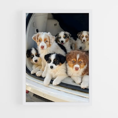 ap-dogs-2 cadre Blanc