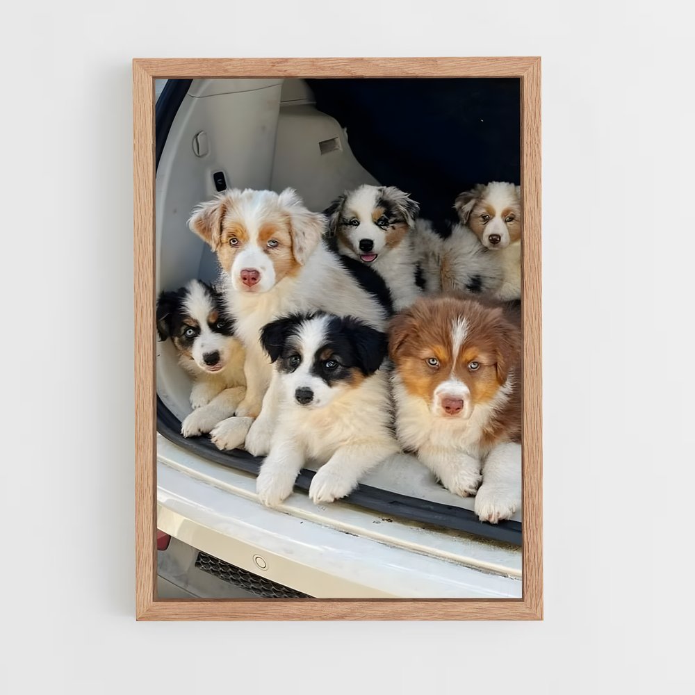 ap-dogs-2 cadre Bois clair
