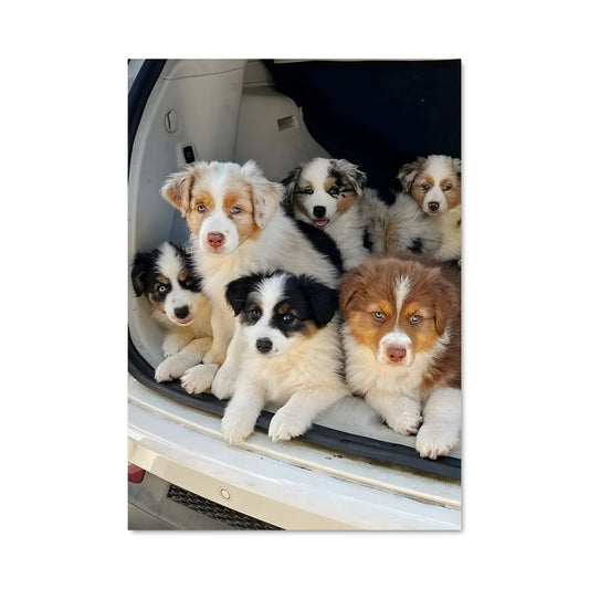 Poster Road Trip Canin