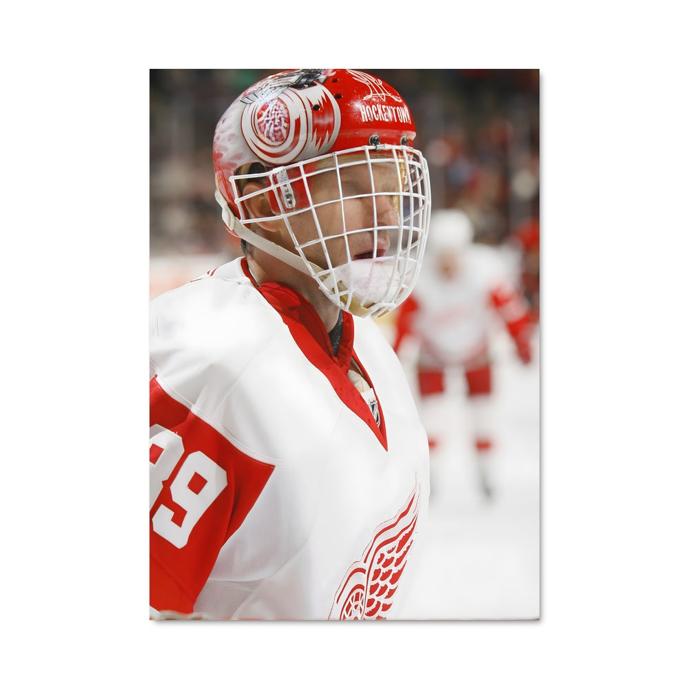 Poster Dominik hasek 74089